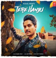 download Tere-Hanju Kamal Khan mp3